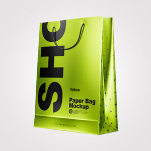 Metallic Paper Bags