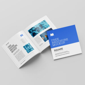 Booklet Printing Services