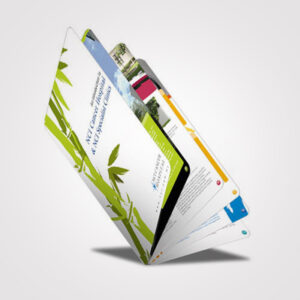Color Booklet Printing Services